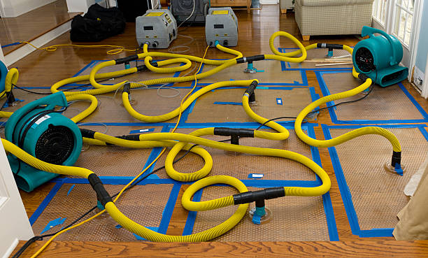 Professional Basement Flood Cleanup technician working in Stewartville, AL